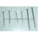 common iron nail