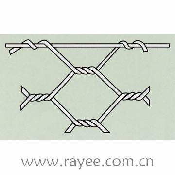 Hexagonal Wire Net