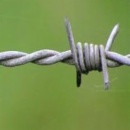 barbed wire