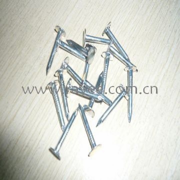 roofing nail with flat head