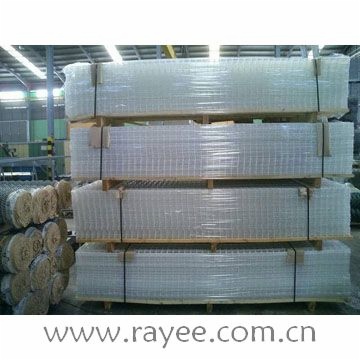 galvanized welded wire mesh