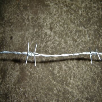 galvanized barbed iron wire